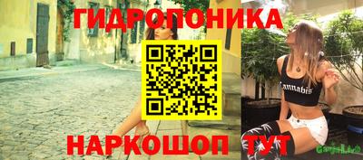 альфа пвп Аргун