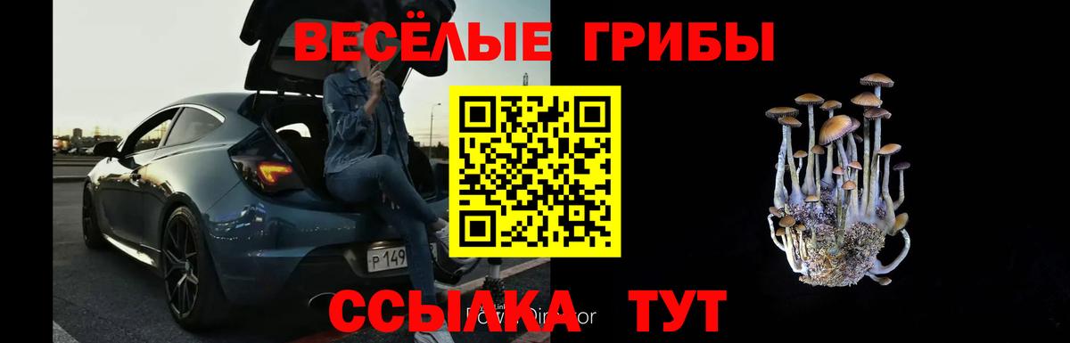 Галлюциногенные грибы Cubensis Бор